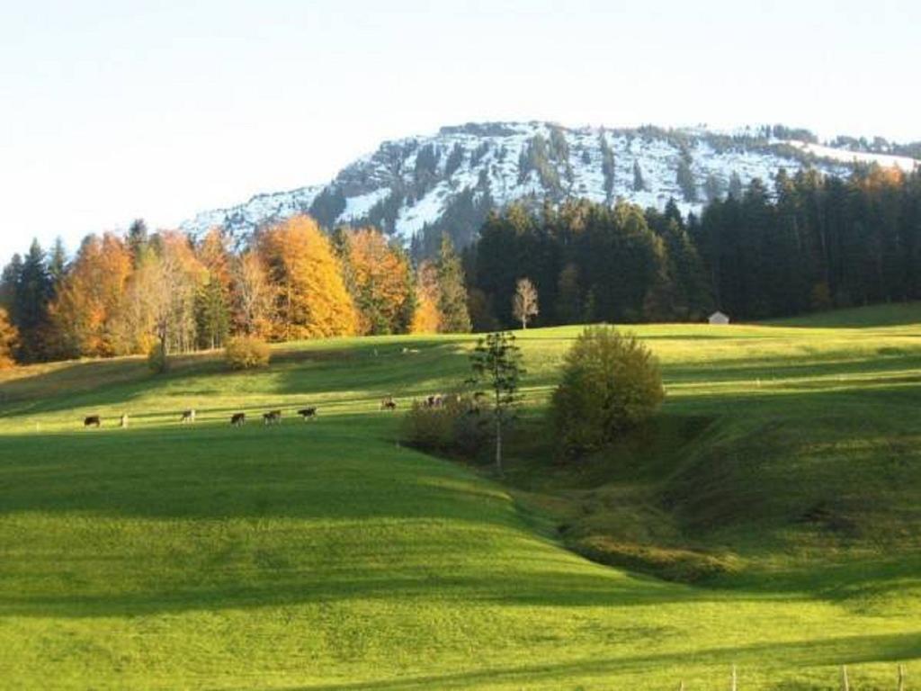 Bauernhof Hammerer Egg Δωμάτιο φωτογραφία